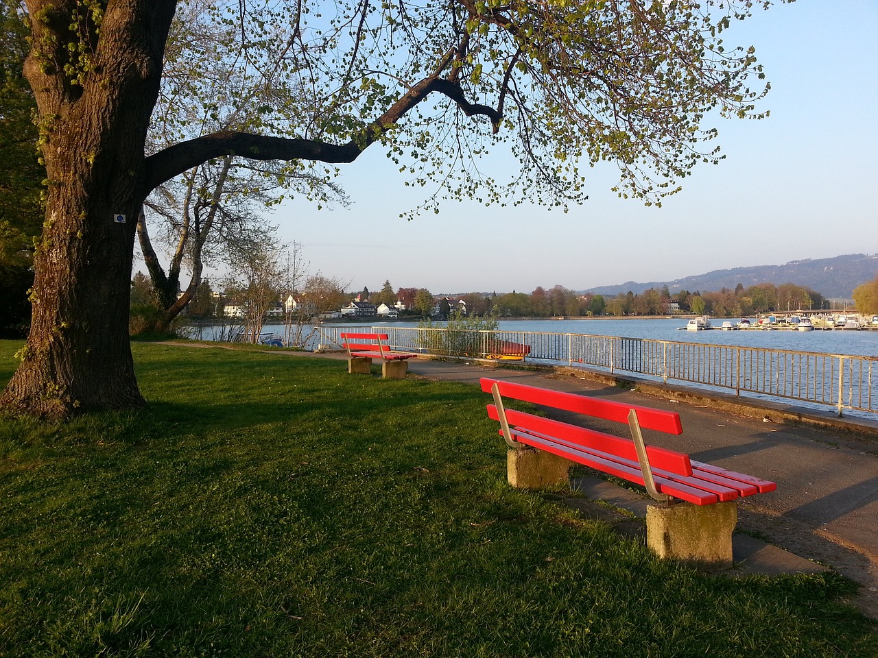 尔四人各自 尔四人各自