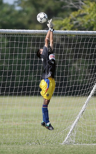 给球队带来 给球队带来